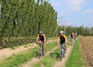 Coronaproof zomeren in Poperinge