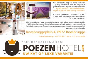 Bie-de-kattemadam-Poezenhotel