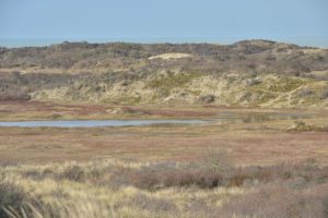 Terug geleide wandelingen te De Panne vanaf 1juli