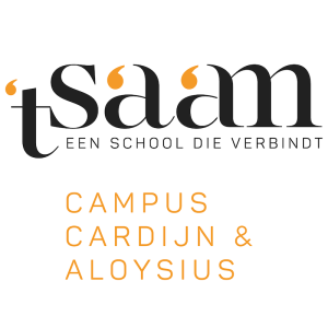 't Saam zomerschool in diksmuide