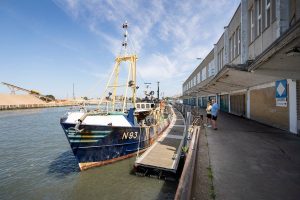 wandelen in de vismijn te nieuwpoort