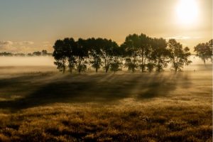 6 besmettingen in Diksmuide