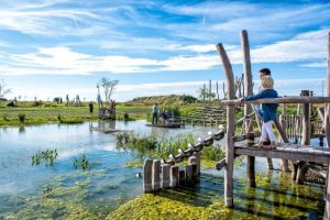 Zwemmersjeuk vastgesteld in IJzerboomgaard Diksmuide