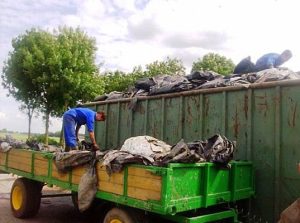 Afzonderlijke inzameling landbouwfolie en stretch- en tuinbouwfolie op 28 en 29 oktober