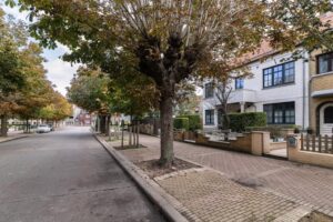 bomen gerooid in nieuwpoort