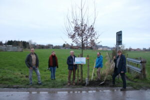 Milieuraad Diksmuide plant bomen