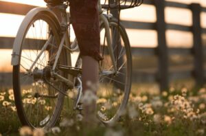 Fietspad veurne diksmuide