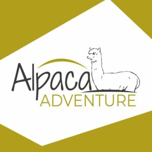 Alpaca Adventure