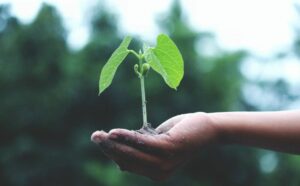 klimaatprioriteiten diksmuide