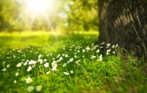 speelplein zonnestraal diksmuide