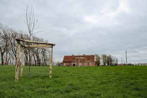 22 erven in de Westhoek beplant met streekeigen bomen en struiken