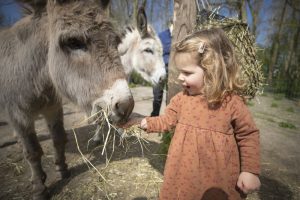 OP TOCHT MET KAATJE EN KO OP KINDERBOERDERIJ DE LENSPOLDER