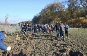 boomplantdag poperinge