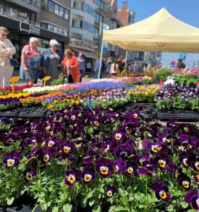 Bloemenjaarmarkt Koksijde 2022