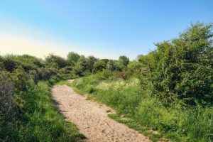 Wandelen in De Panne