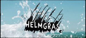 Helmgras Festival Koksijde