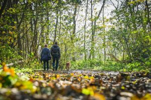 Jaarlijkse wandelzoektocht Koksijde