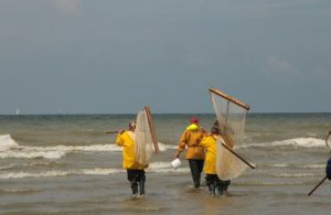 kruien aan zee te De panne