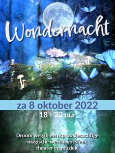 Wondernacht Diksmuide