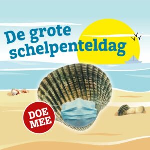 grote-schelpenteldag-2023 Nieuwpoort