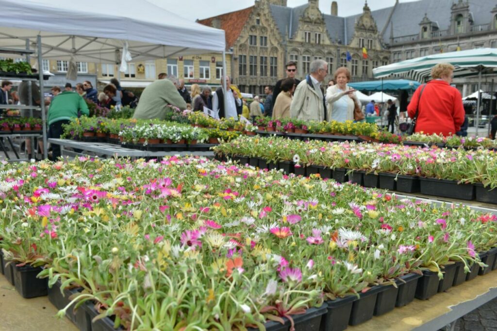 Bloemenmarkt 2023 Veurne