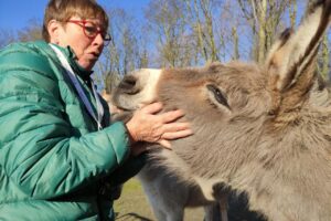 de Bende van de Kinderboerderij