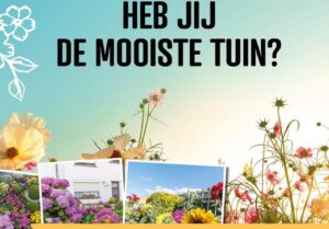 Tuinkriebels De Panne 2024