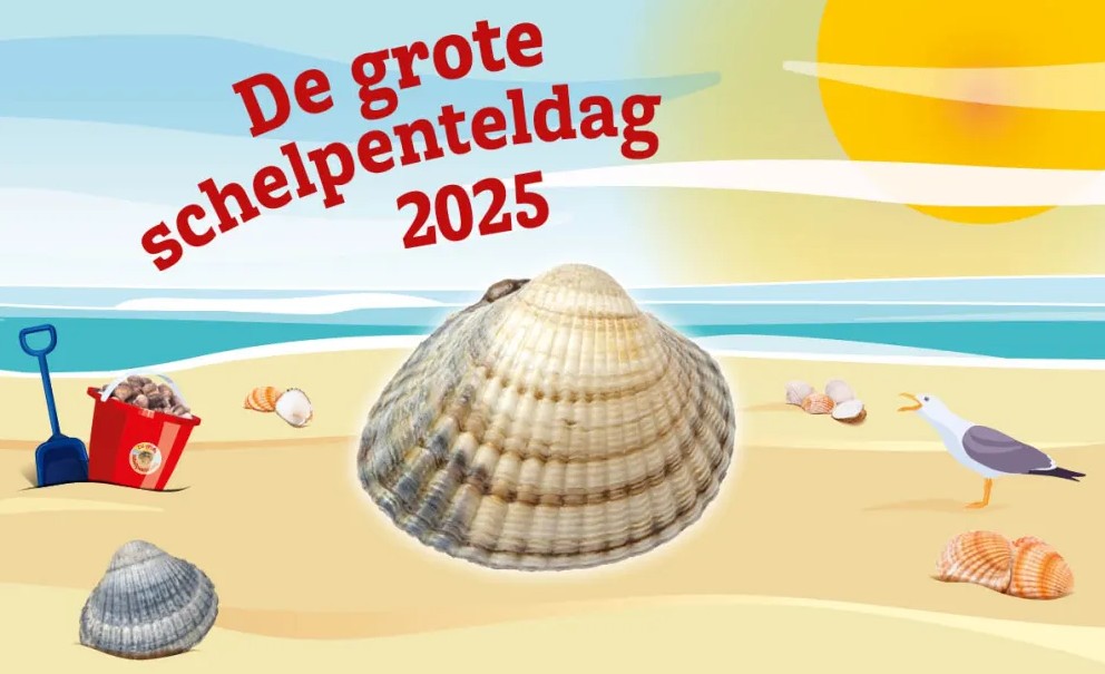 de Grote Schelpenteldag 2025